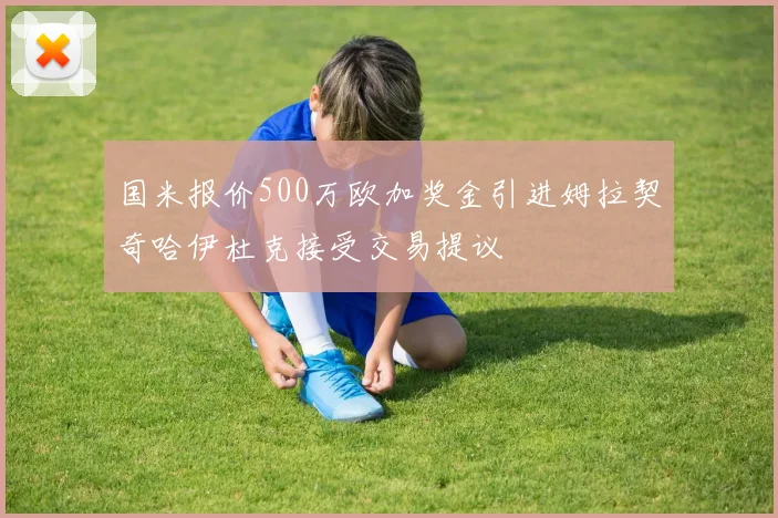 国米报价500万欧加奖金引进姆拉契奇哈伊杜克接受交易提议